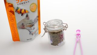 キョーリン　ひかりクレスト　コリドラス　80g